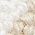Color Swatch - White