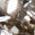 Color Swatch - Grey