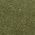 Color Swatch - Green