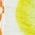 Color Swatch - Multi