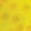 Color Swatch - Yellow