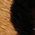 Color Swatch - Leopard Print