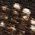 Color Swatch - Brown Multi