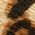 Color Swatch - Animal