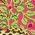 Color Swatch - Animal
