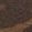 Color Swatch - Brown