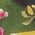Color Swatch - Green