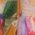 Color Swatch - Green