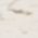 Color Swatch - Ivory