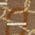 Color Swatch - Brown