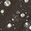 Color Swatch - Black