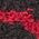 Color Swatch - Black/Multi