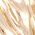 Color Swatch - Gold