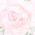 Color Swatch - Light Pink