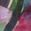 Color Swatch - Purple