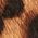 Color Swatch - Animal