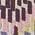 Color Swatch - Multi/Misc