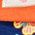 Color Swatch - Orange
