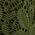 Color Swatch - Green