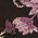 Color Swatch - Purple