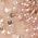 Color Swatch - Pink
