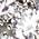 Color Swatch - Silver