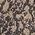 Color Swatch - Taupe