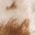 Color Swatch - Brown Multi