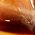 Color Swatch - Brown