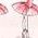 Color Swatch - Pink