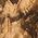 Color Swatch - Gold