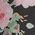 Color Swatch - Floral