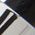 Color Swatch - Black