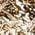 Color Swatch - Gold