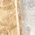 Color Swatch - Gold