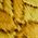 Color Swatch - Yellow