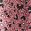 Color Swatch - Pink
