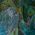 Color Swatch - Green/Multi