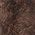 Color Swatch - Brown