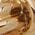 Color Swatch - Gold