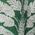 Color Swatch - Green