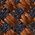 Color Swatch - Brown