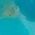 Color Swatch - Blue
