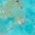 Color Swatch - Turquoise