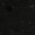 Color Swatch - Black