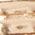 Color Swatch - Gold