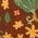 Color Swatch - Brown
