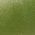 Color Swatch - Green