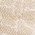 Color Swatch - Ivory