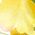 Color Swatch - Yellow
